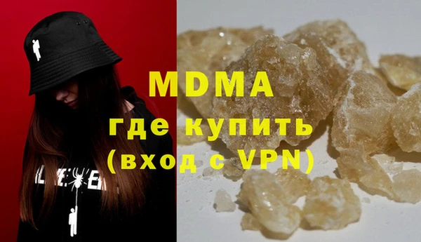 индика Бородино
