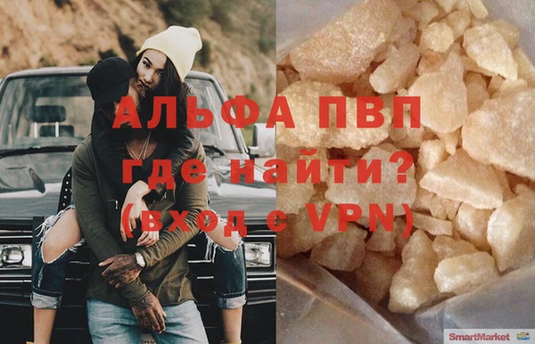 индика Бородино