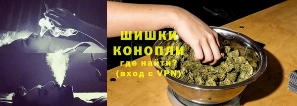 индика Бородино