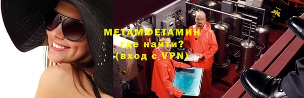 индика Бородино