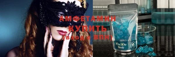 индика Бородино
