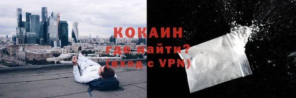 индика Бородино