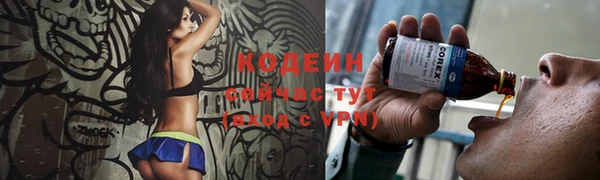 индика Бородино