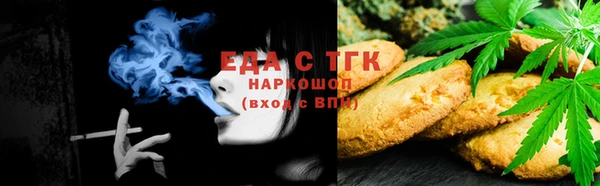 индика Бородино