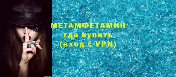 индика Бородино