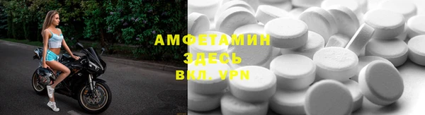 индика Бородино