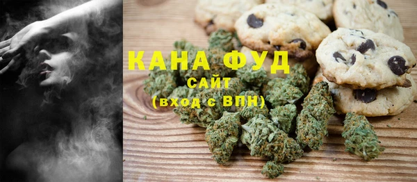 индика Бородино
