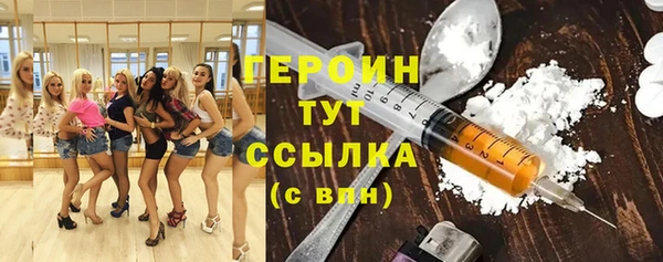 индика Бородино