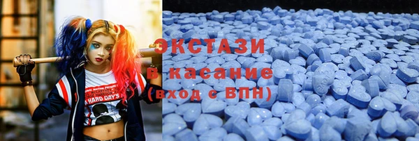 индика Бородино