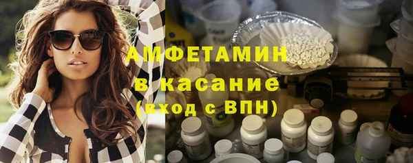 индика Бородино
