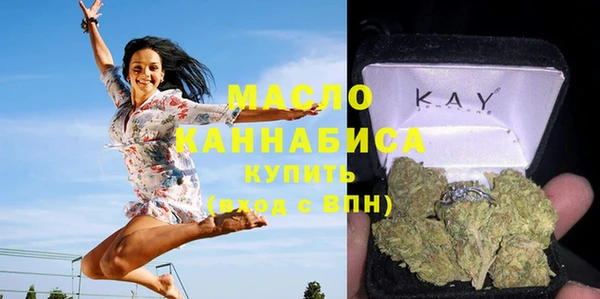 индика Бородино