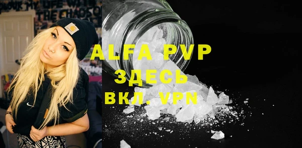 индика Бородино