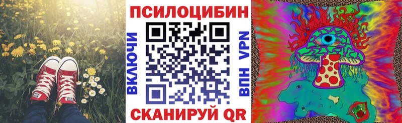Купить закладки  Ленинск-Кузнецкий  Галлюциногенные грибы прущие грибы 